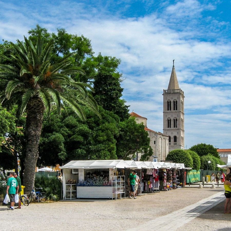 The Roman forum of Zadar with the bell tower and palm trees in summer
